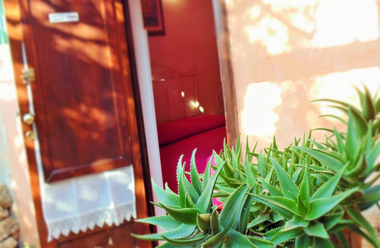 מלון נוטו Agriturismo Calamosche מראה חיצוני תמונה