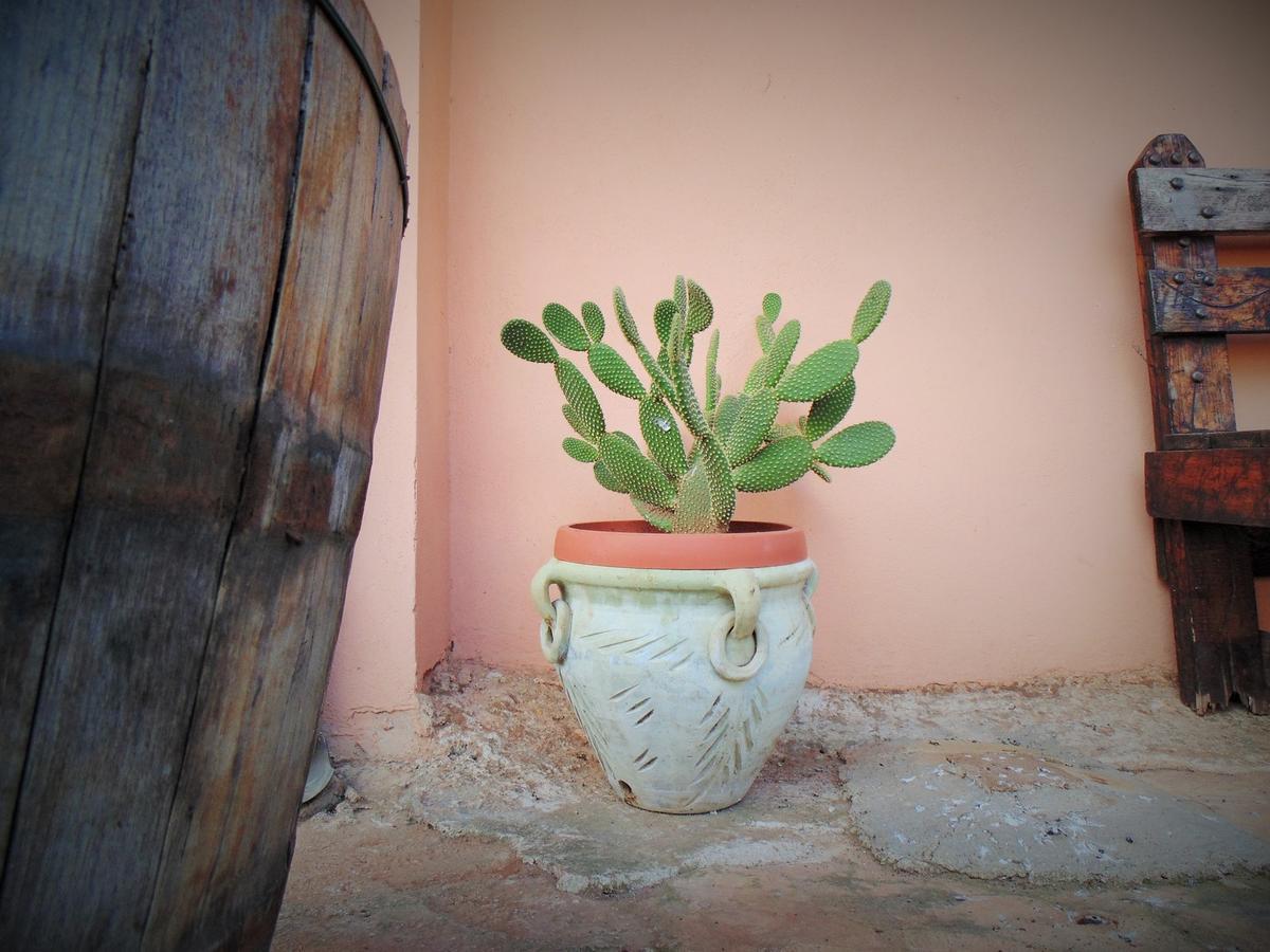 מלון נוטו Agriturismo Calamosche מראה חיצוני תמונה